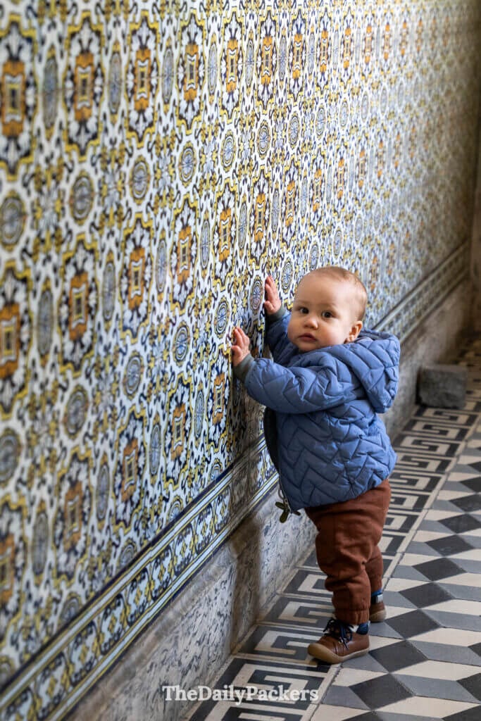 Un jeune visiteur explore les expositions d’histoire naturelle au musée des Sciences de l’Université de Coimbra.
