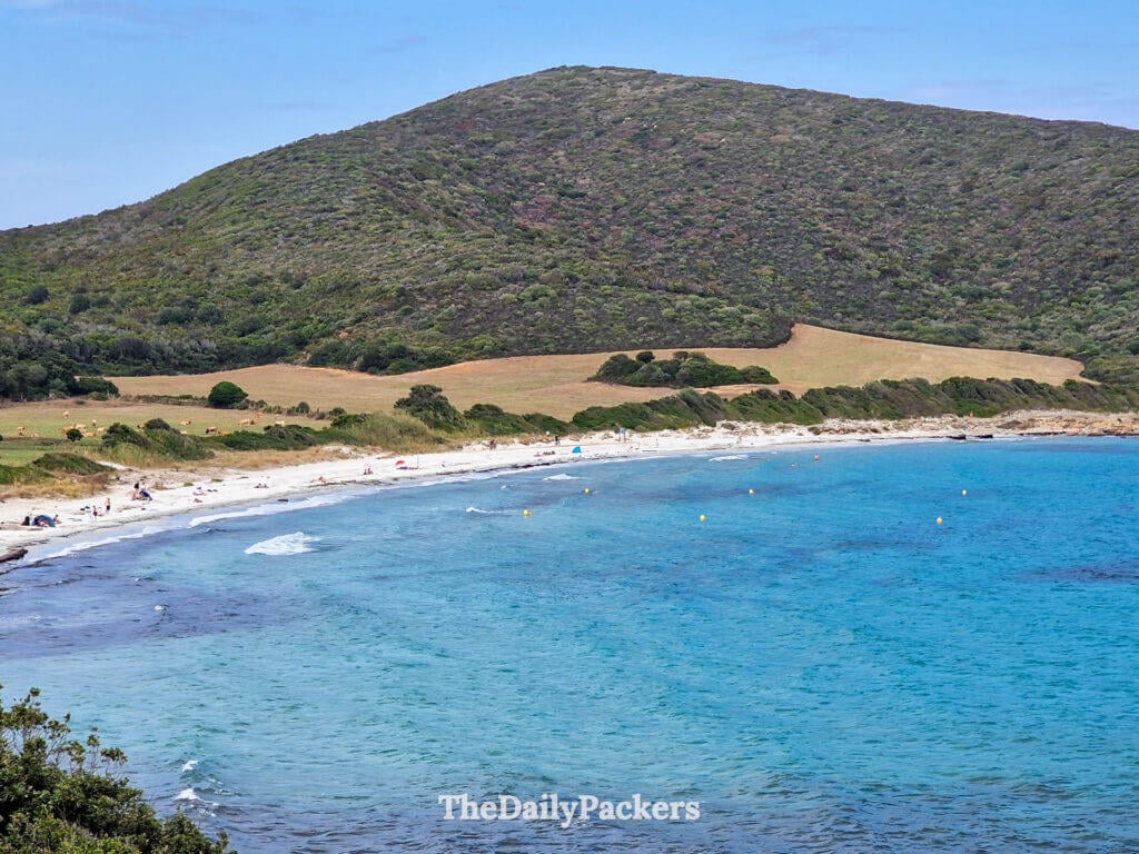 Wide view of the Tamarone Beach next to clear blue waters.