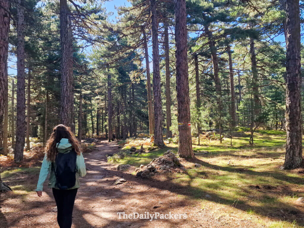 A traveler hiking the forested dirt trail toward Trou de la Bombe in Corsica.