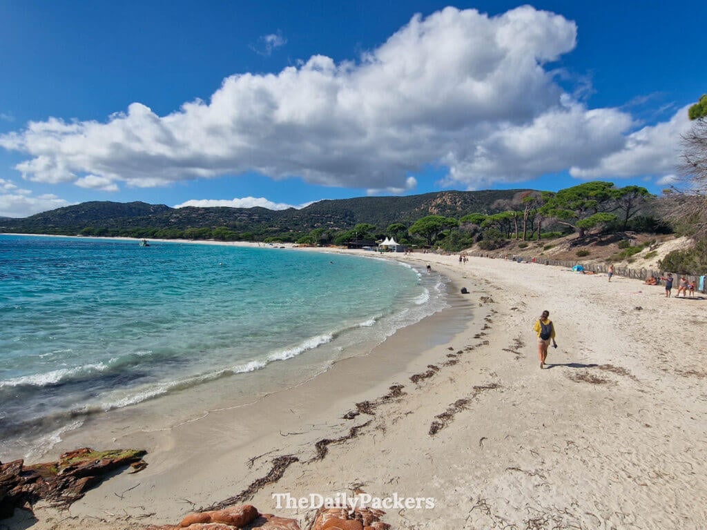 Turquoise waves crashing on the white sands of Palombaggia Beach in Porto-Vecchio, Corsica.