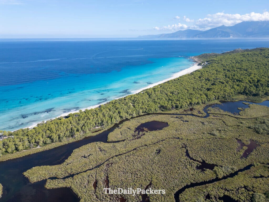 The long stretch of white sand and bright turquoise sea at Saleccia Beach in the Agriates Desert.