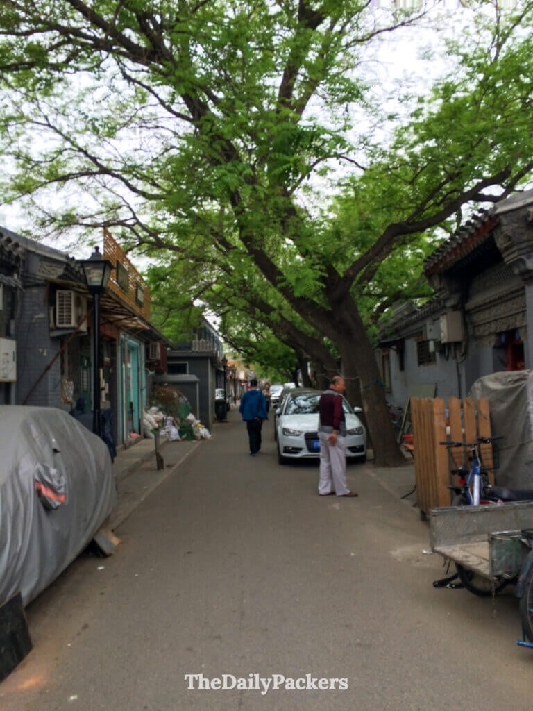 Ruelle de hutong bordée d’arbres à Pékin, avec des maisons traditionnelles à cour en briques grises et des habitants qui se promènent