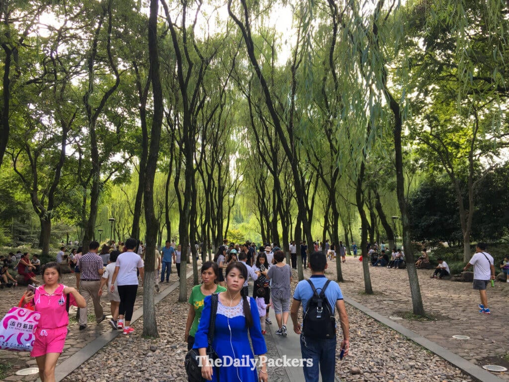 Visiteurs se promenant le long d’un chemin bordé de saules dans la zone panoramique du lac de l’Ouest, Hangzhou