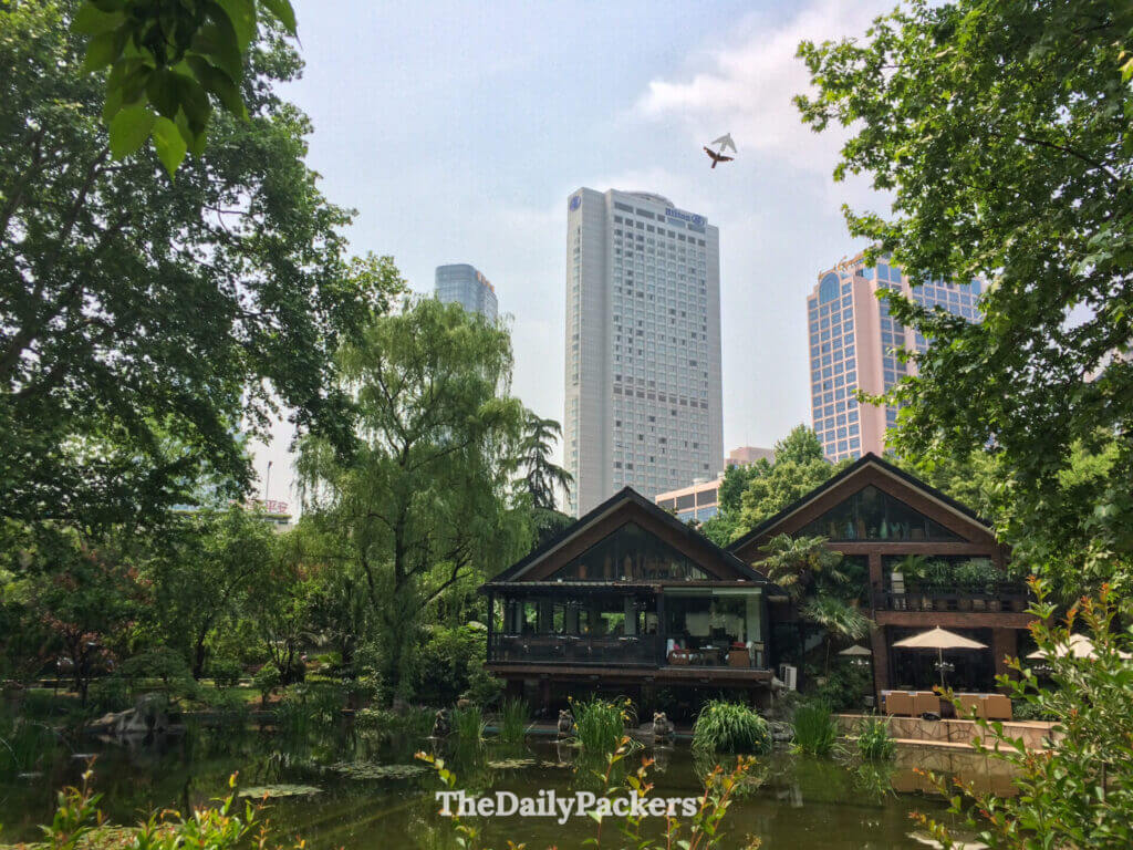 Étang serein et pavillon de maison de thé en bois dans le parc Jing'an avec la tour de l'hôtel Hilton derrière, Shanghai
