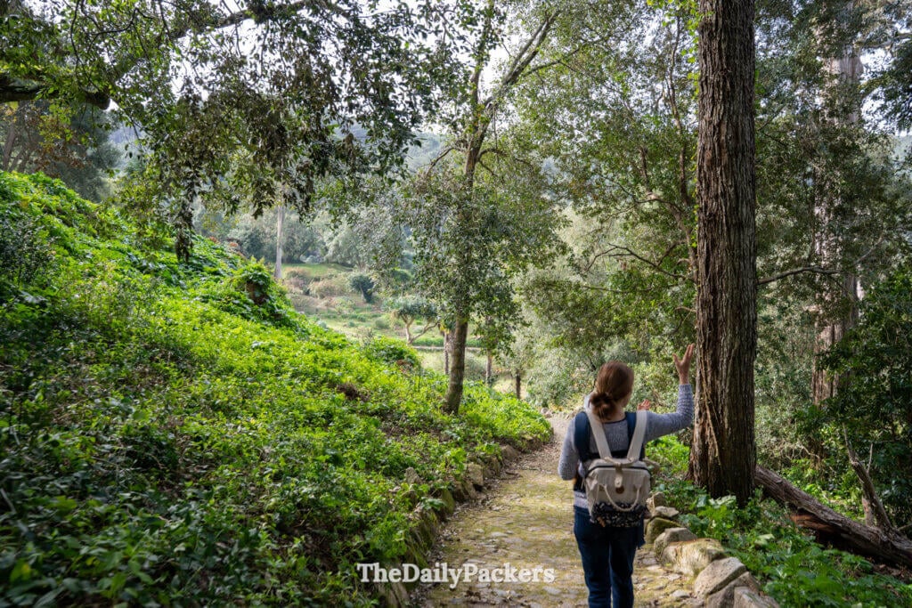 Un touriste marchant avec un sac à dos le long d’un chemin de pierre dans les jardins luxuriants de Monserrate, Sintra.