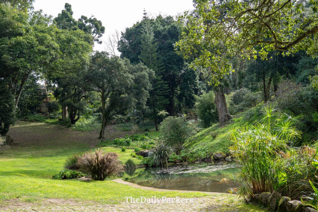 Large pelouse verte et chemins de pierre entourés d’arbres exotiques dans le parc de Monserrate, Sintra.