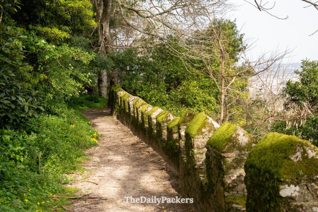A dirt trail lines a moss-covered stone rampart wall surrounded by green trees in Sintra.