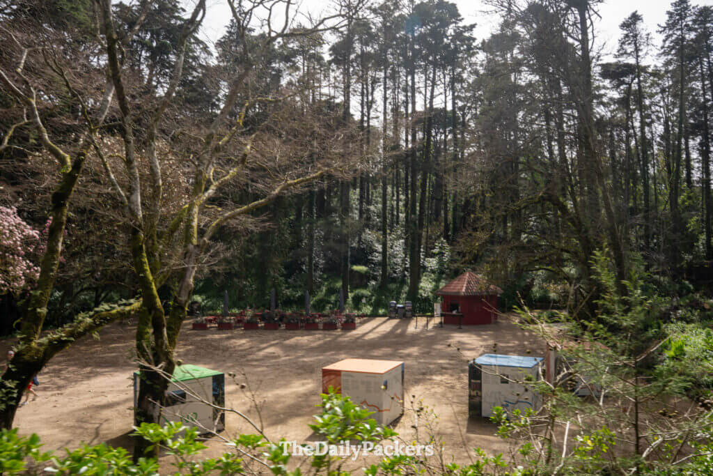 High-angle view of an open forest clearing with informational signs and a small red cottage.