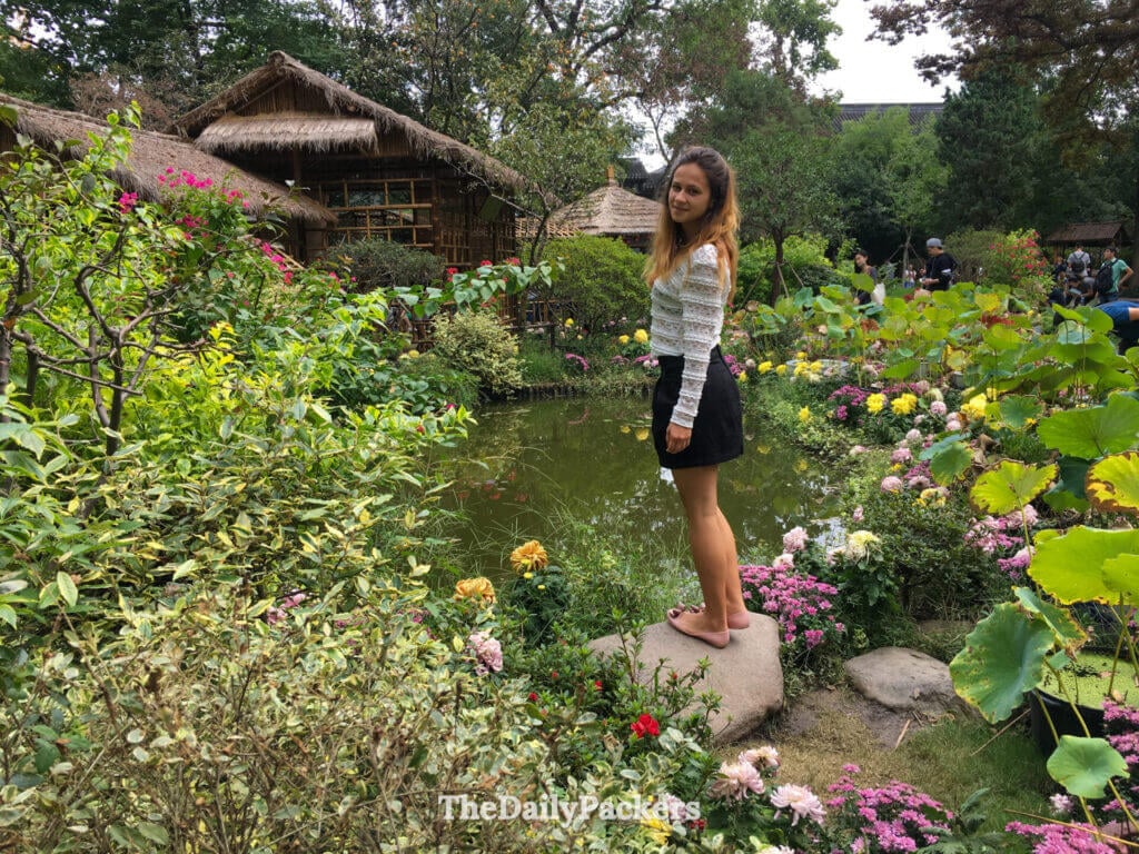 Voyageur debout parmi des chrysanthèmes en fleurs près d’un étang à carpes koï au Jardin de la Retraite à Suzhou