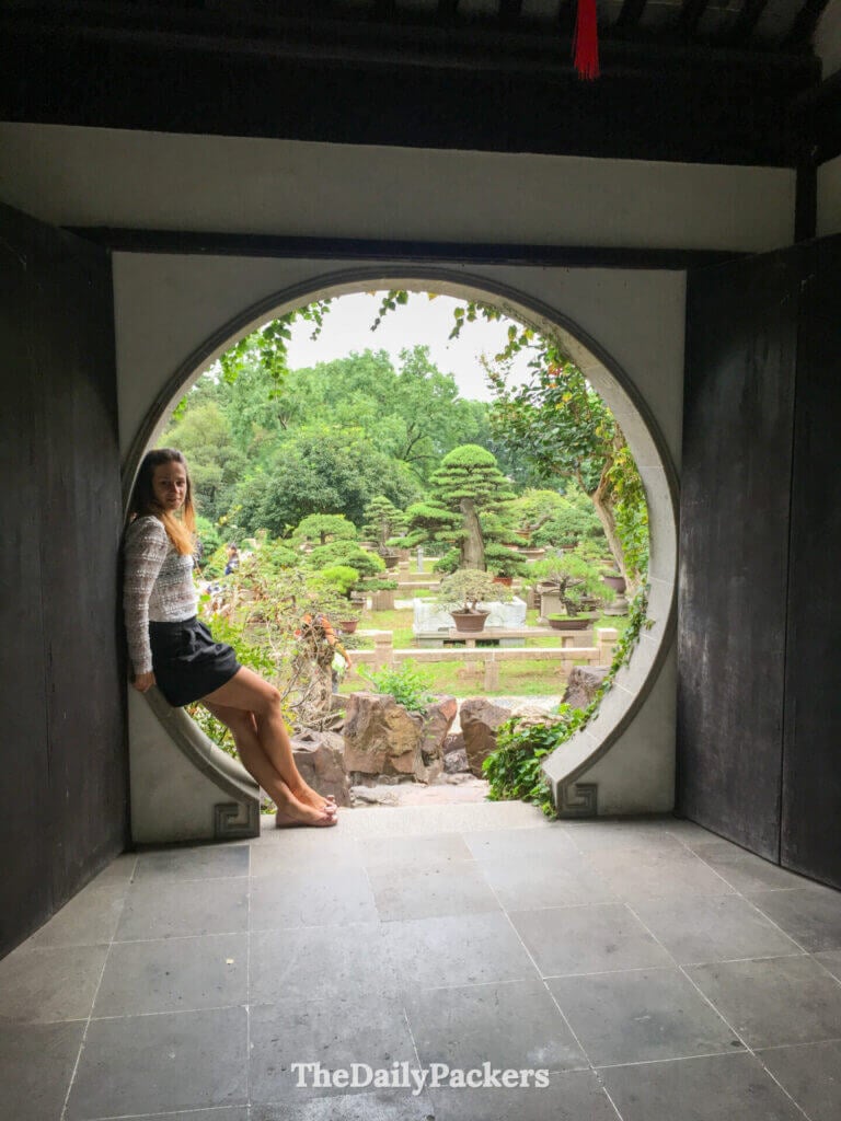 Voyageur assis dans une porte de lune circulaire traditionnelle encadrant un jardin de bonsaïs à Suzhou