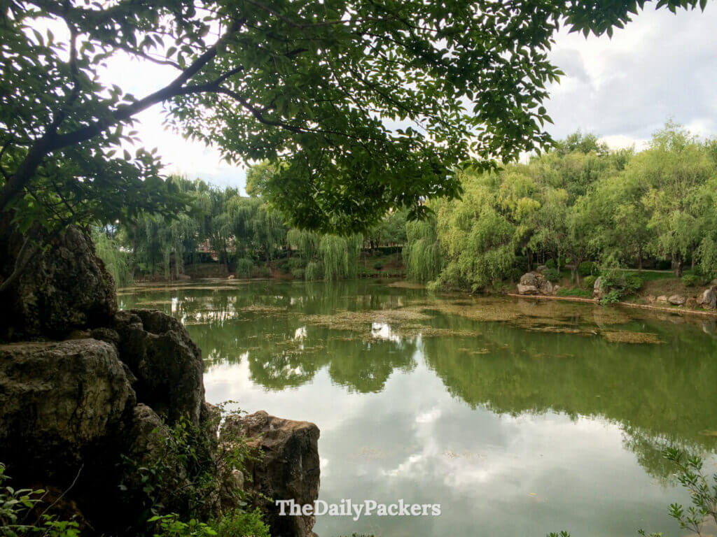 Des saules encadrent les eaux tranquilles du parc de l’étang du Dragon Noir, à Lijiang